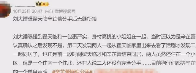 辛芷蕾的6年陪伴「喂了狗」，疑似分手，翟天臨已無縫銜接！