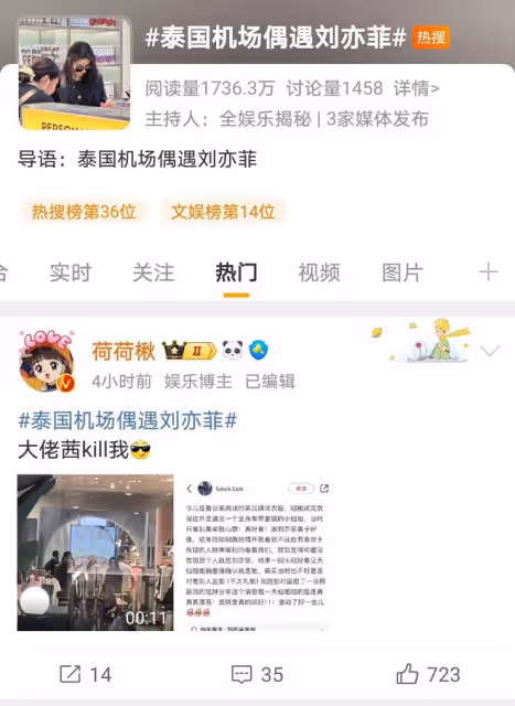 劉亦菲泰國機場被偶遇,神仙顏值再獲讚譽,網友:隨手一拍即大片
