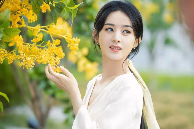 趙麗穎逆風翻盤，白玉蘭後再奪三獎，85花格局生變引熱議