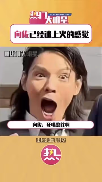 李小龍模仿者被向佐扇巴掌惹爭議,向佐這樣回應