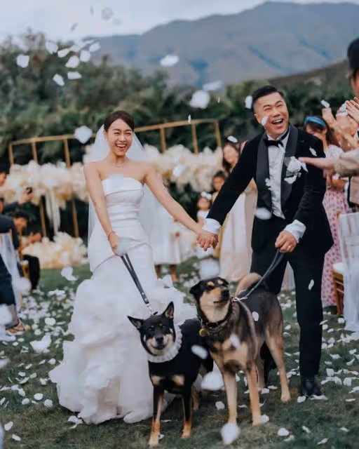 前TVB花旦結婚一周年曬婚禮絕密花絮照,獲老公深情留言:我愛你