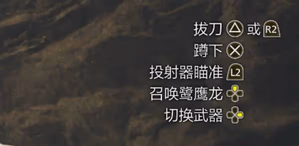 《怪物獵人:荒野》介面圖標功能介紹