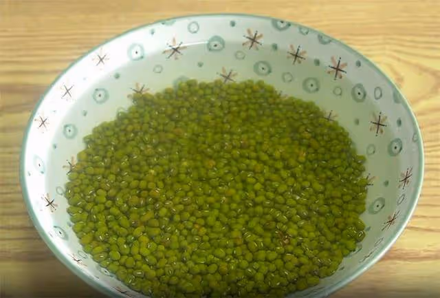 綠豆湯不要直接下鍋煮,學會這一招,顏色翠綠,10分鐘煮開花