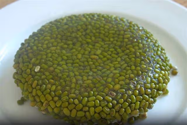 綠豆湯不要直接下鍋煮,學會這一招,顏色翠綠,10分鐘煮開花