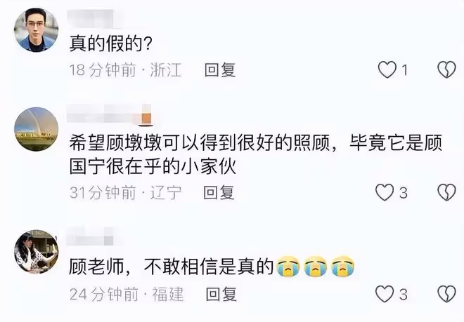 46歲前央視名嘴顧國寧:40歲喪父44歲離婚,從確診到去世僅半個月