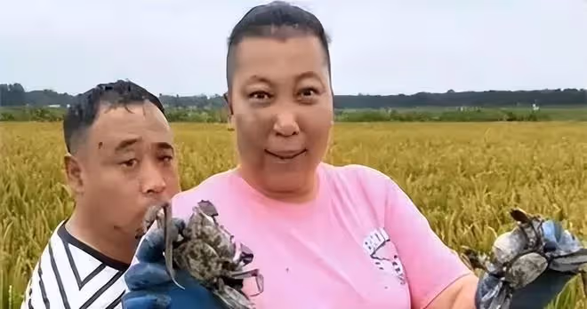 東北雨姐準備復出，夫妻低調打車出行，老蒯在飯店裡神情緊張