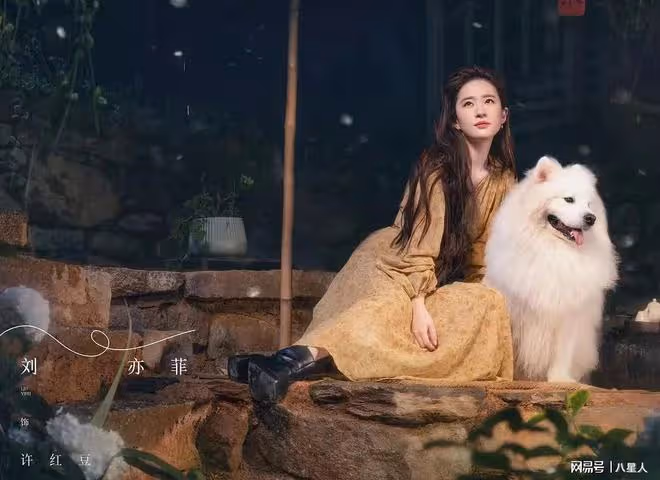 宋承憲吃得真好!37歲劉亦菲泰國玩射擊背影驚艷,這腰臀比誰不愛啊