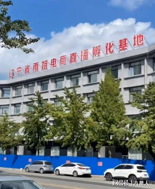 東北雨姐開小號訴苦!貸款1200W建樓如今無法償還,希望粉絲幫自己
