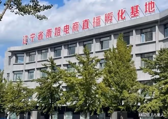 東北雨姐開小號訴苦!貸款1200W建樓如今無法償還,希望粉絲幫自己