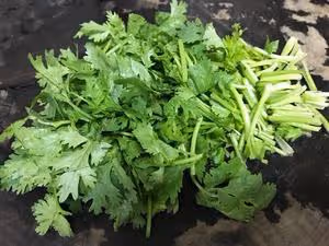 好吃到讓人顫抖的香菜拌牛肉