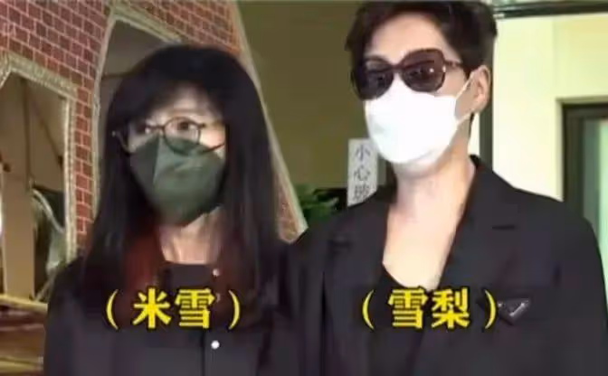雪梨罕見回憶與徐少強往事,因一吻深陷其中,開始並不知對方有太太