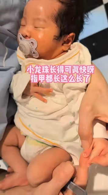 張紀中老婆曬四胎女兒,小龍珠出生10天長得胖嘟嘟,越來越像爸爸