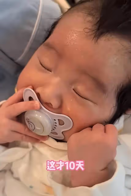 張紀中老婆曬四胎女兒,小龍珠出生10天長得胖嘟嘟,越來越像爸爸