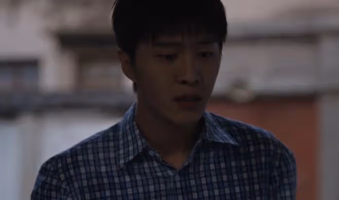 小巷人家人物關係，盧昱曉是女二嗎，范丞丞和誰是官配