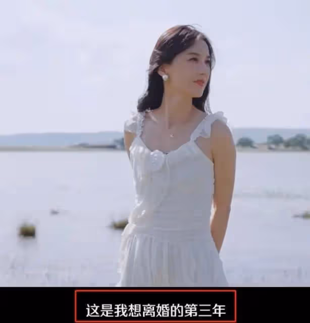黃聖依楊子決定不離婚,原因令人哭笑不得!網友評論一針見血