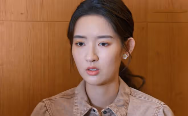 《好團圓》深愛向前,是向中前男友,插足向南婚姻,柴進結局遺憾