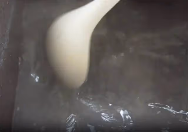 榴槤皮是個寶,教你做成2種口味的甜品,冰涼爽口,很多人不知道