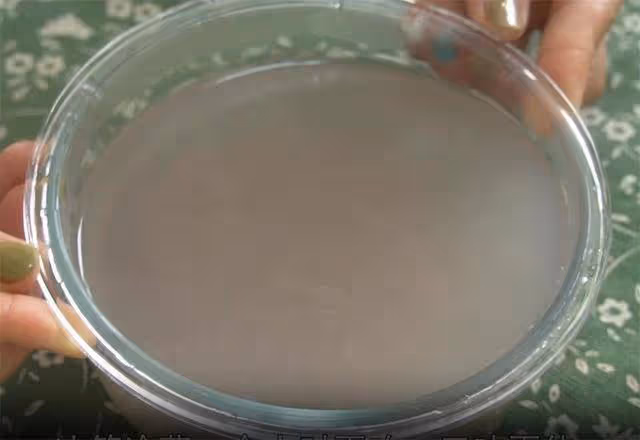 榴槤皮是個寶,教你做成2種口味的甜品,冰涼爽口,很多人不知道