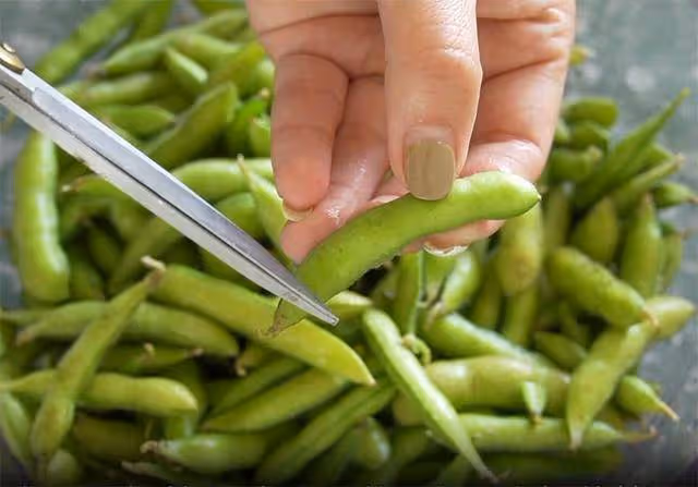 為什麼大排檔的涼拌毛豆脆嫩入味?教你一招,色澤翠綠,香辣好吃