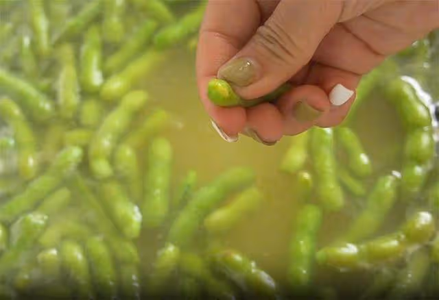 為什麼大排檔的涼拌毛豆脆嫩入味?教你一招,色澤翠綠,香辣好吃