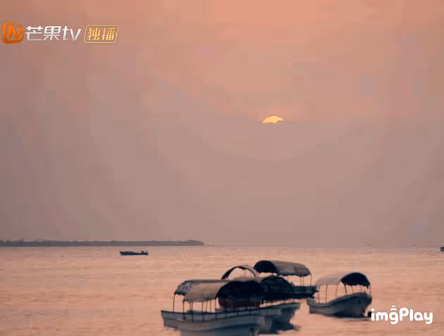 陳好演技最差的一次?實則真性情流露!
