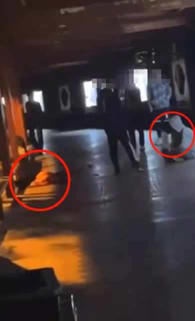 南昌19歲男生砍死22歲女生後續:知情人曝內幕,果然不簡單