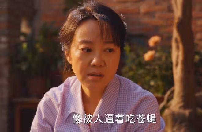 小巷人家:看到黃玲真心對向鵬飛好,才明白,莊超英孤獨終老真相