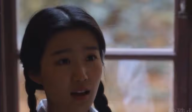 小巷人家:黃玲離婚10年再見莊超英,廣州闊太和退休教師落差太大