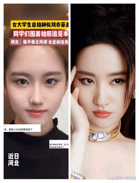 女大學生神似劉亦菲被圍觀合影,美貌引發校園熱潮!