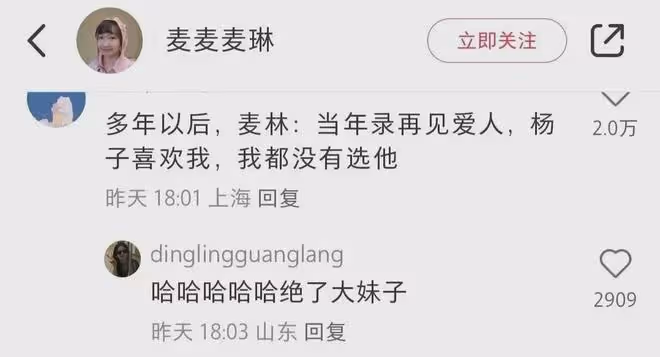 麥琳成《再見愛人4》槽點最多的嘉賓,我卻笑死在網友的評論區