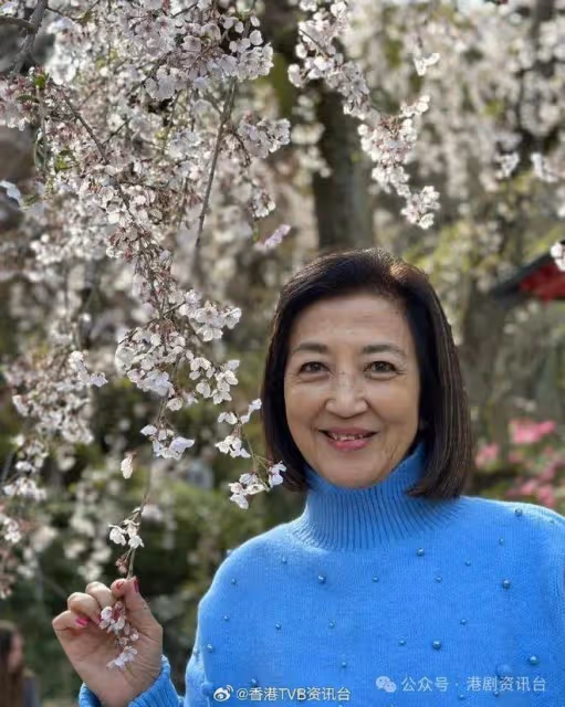 73歲TVB富婆演技獲肯！上月底與TVB成功續約