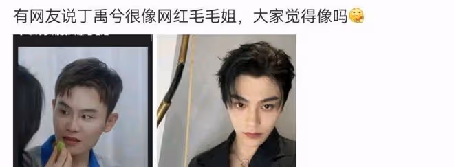 繼趙露思回應長得像劉梓晨後,丁禹兮被call回應長得像毛毛姐