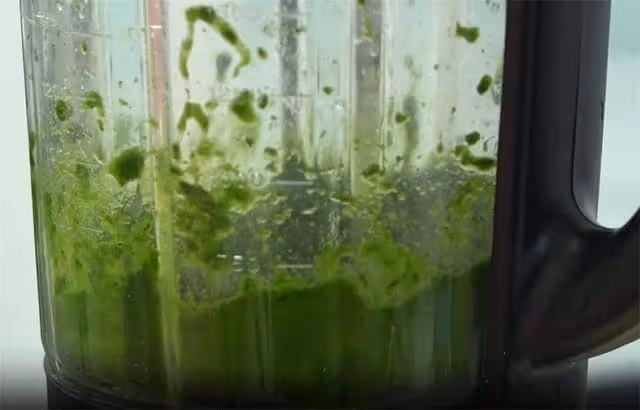 沒事吃點菠菜,加碗澱粉簡單一做,能當主食能當菜,湯汁多有嚼勁