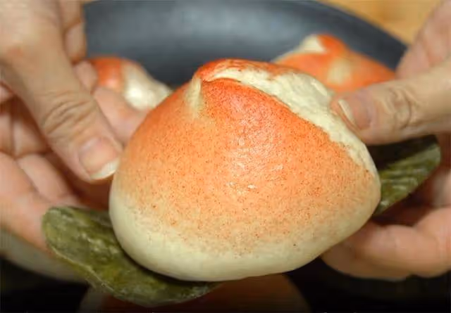 秋天別光吃水餃了,這鍋創意饅頭不能少,家人拿著愛不釋手