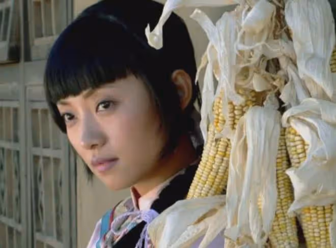 《亮劍》五大美女,張白露墊底,曼麗第四,田雨第二,第一是誰?