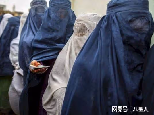 捧殺楊笠!遭紐約時報盛讚,挑動男女對立譁眾取寵,與京東分道揚鑣