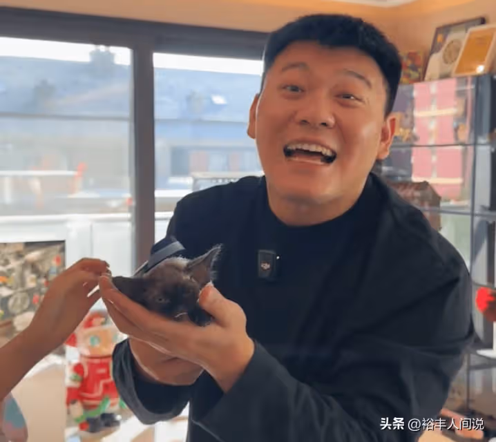 血虧1.8萬！網紅韓景楓愛貓去世，購買才兩天，意外曝光奢華設施