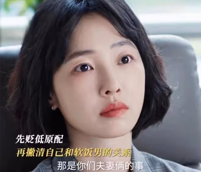 好團圓:李書做夢想不到,舉報她知三當三的,並非向前,而是高平