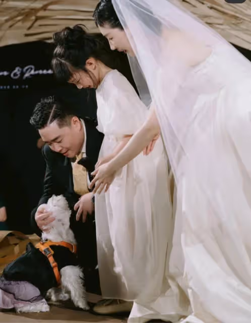 郝劭文曬老婆最新孕照,林寧瑞肚大如籮胖一圈,滿臉溫柔孕相超足