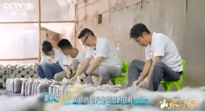 撒貝寧《山水間的家》展全能,勞動智慧引熱議,網友:果然優秀!