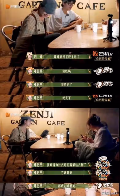 周雨彤又作妖!嫌棄坦尚尼亞酒店不幹凈,夜市美食寧願喂貓都不吃