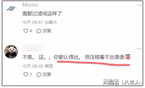 整容失敗?42歲姚笛加拿大吃中餐,鼻翼變大素顏認不出,比文章悽慘