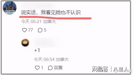 整容失敗?42歲姚笛加拿大吃中餐,鼻翼變大素顏認不出,比文章悽慘