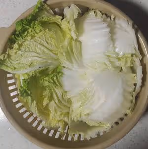 醋溜白菜
