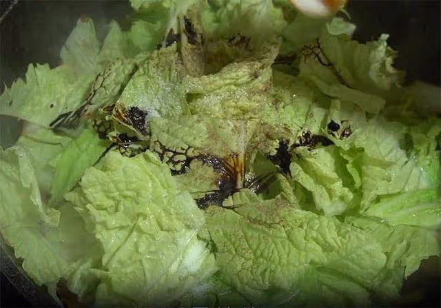 一到秋冬就饞這鍋白菜煲，做完整鍋端上桌，湯汁也不浪費，接地氣