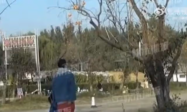 王傳君帶女兒逛公園,交罰款為女摘柿子引爭議:錢可以擺平一切?