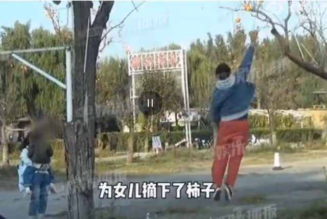 王傳君帶女兒逛公園,交罰款為女摘柿子引爭議:錢可以擺平一切?