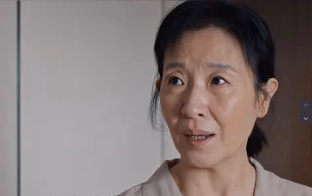 好團圓:直到小姨助向前離婚,才知高平多可恨,李書流產