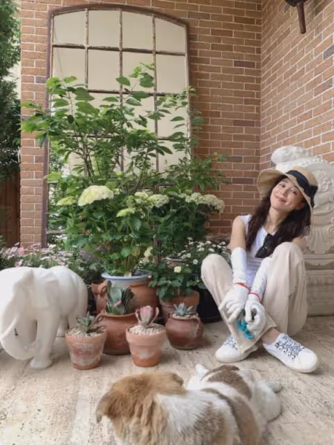 44歲張靜初近況曝光,飽受黃謠困擾14年,如今無性無愛