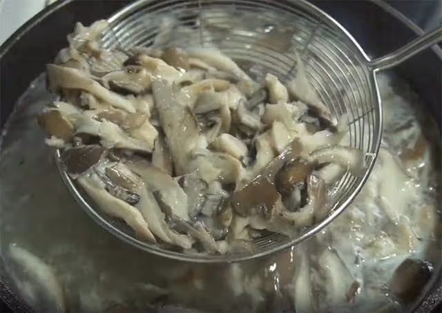 天冷蘑菇這樣做才好吃,成本不到10元,薄皮大餡,每次至少吃5張